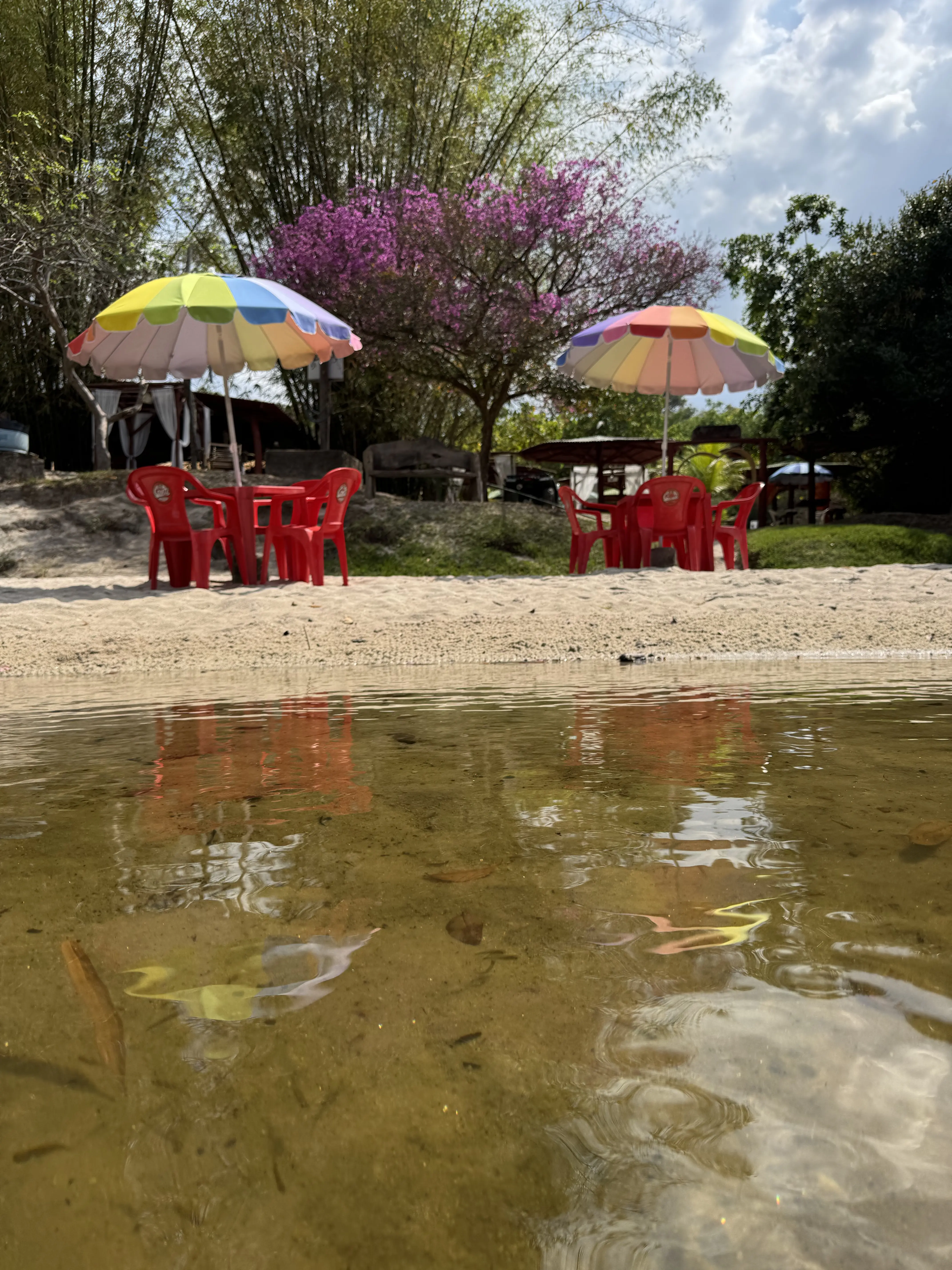 Exuberância da Natureza