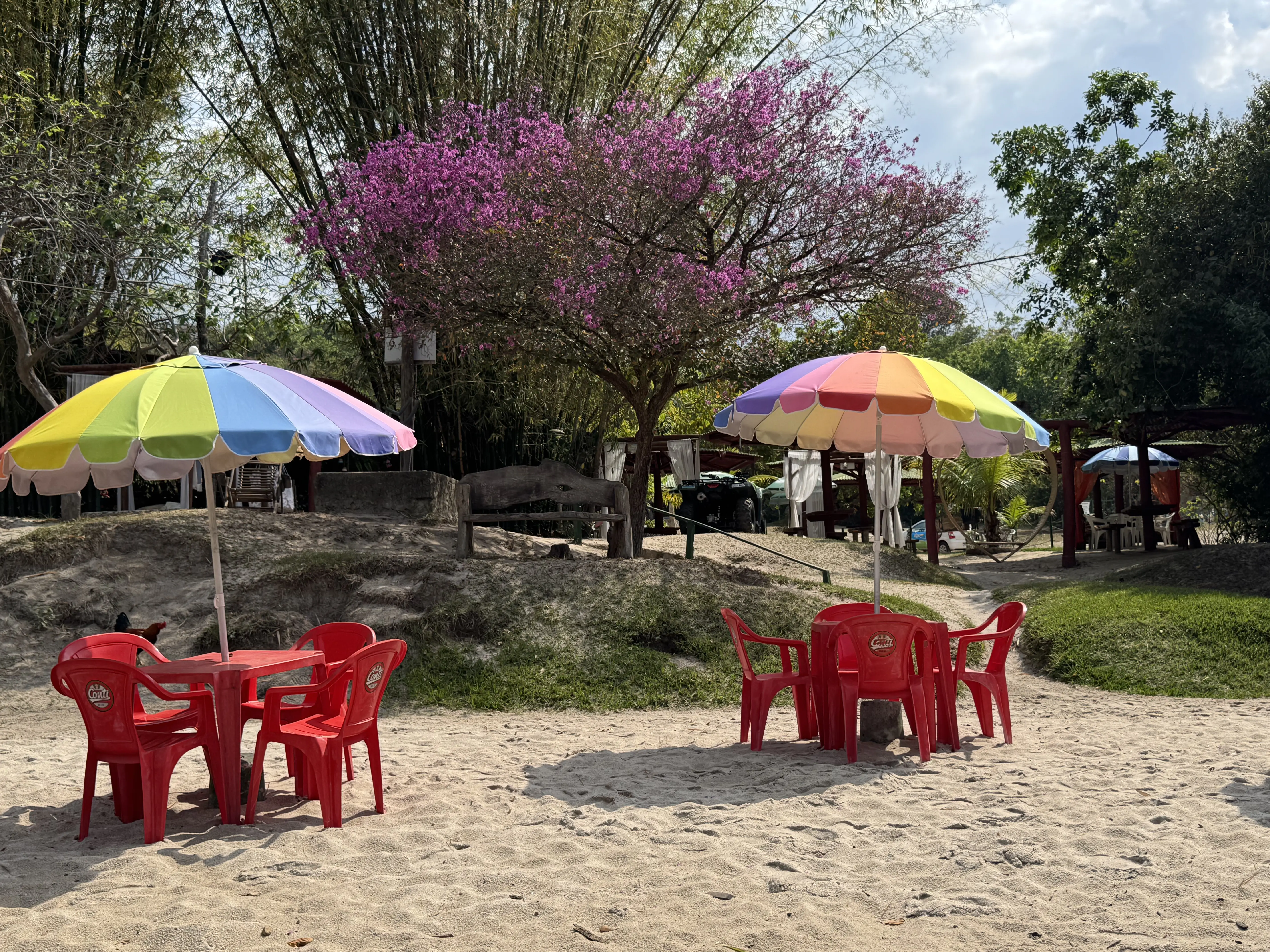 Exuberância da Natureza